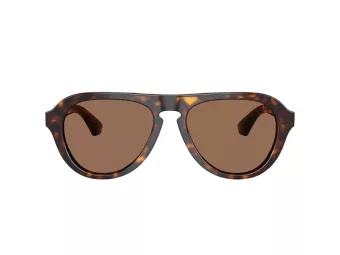 Burberry BE 4437U 300273 55 Men sunglasses