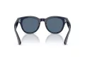 Burberry BE 4439 412080 51 Men sunglasses