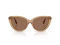 Burberry BE 4457 416473 55 Women sunglasses