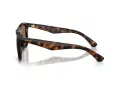 Burberry BE 4458U 300273 55 Men sunglasses