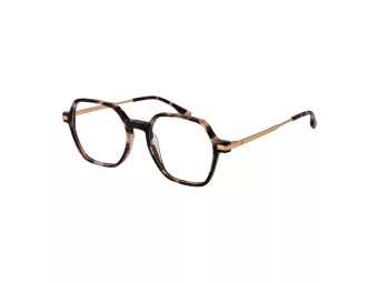 Bulget BG Y6010 G21 50 Men, Women glasses