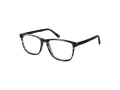 Botaniq BIO 1010 104 55 Men glasses