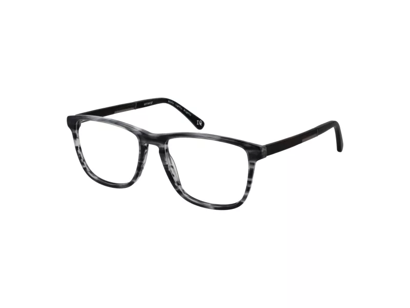 Botaniq BIO 1010 104 55 Men glasses