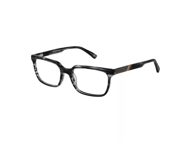 Botaniq BIO 1025 104 55 Men glasses