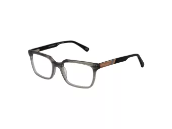 Botaniq BIO 1025 108 55 Men glasses