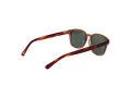 Botaniq BIS 7014 152 52 Men sunglasses