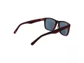 Botaniq BIS 7015 160 56 Men sunglasses