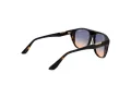 BMW BW 0041-H 52W 58 Men sunglasses