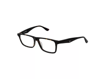 BMW BW 5062-H 052 55 Men glasses