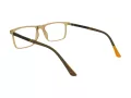 Berkeley computer glasses BB H6520 C2 52