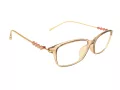 Berkeley computer glasses BB T5005 C4 55