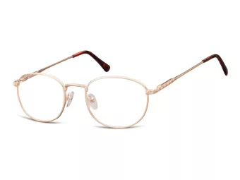 Berkeley computer glasses 794C 49