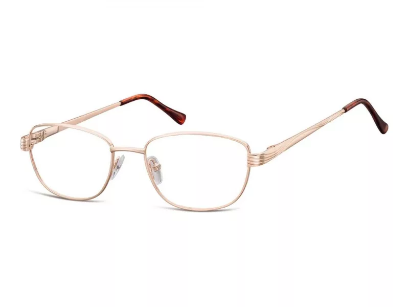 Berkeley computer glasses 796 C