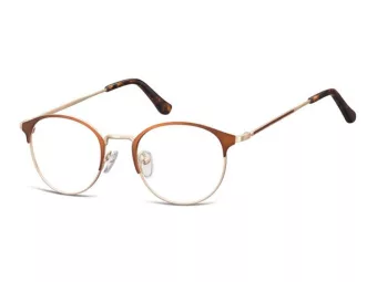 Berkeley computer glasses 973 D
