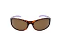 Champion CUW 5207 C02 64 Women sunglasses