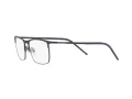 Dolce & Gabbana DG 1309 1358 57 Men glasses