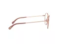 Dolce & Gabbana DG 1322 1298 53 Women glasses