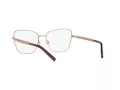 Dolce & Gabbana DG 1346 1333 55 Women glasses