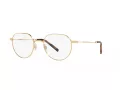 Dolce & Gabbana DG 1349 02 52 Men glasses