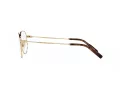 Dolce & Gabbana DG 1349 02 52 Men glasses