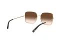 Dolce & Gabbana DG 2242 02/13 57 Women sunglasses