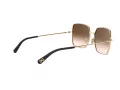 Dolce & Gabbana DG 2242 02/13 57 Women sunglasses