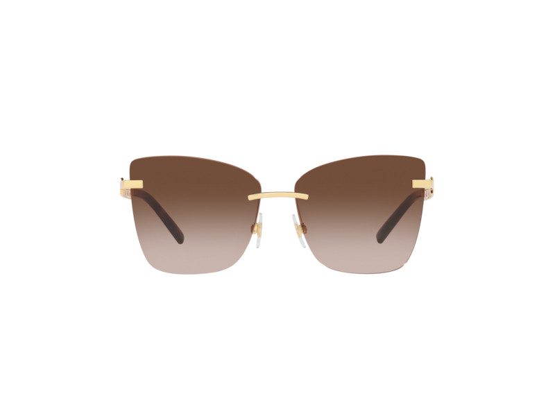 Dolce & Gabbana DG 2289 02/13 59 Women sunglasses