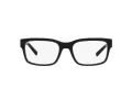 Dolce & Gabbana DG 3352 501 55 Men glasses