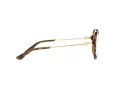 Dolce & Gabbana DG 3364 502 54 Women glasses