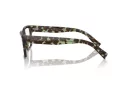 Dolce & Gabbana DG 3383 3432 55 Men glasses