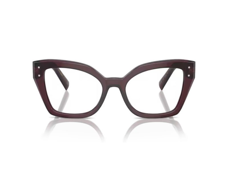 Dolce & Gabbana DG 3386 3045 53 Women glasses