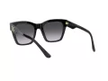Dolce & Gabbana DG 4384 501/8G 53 Women sunglasses