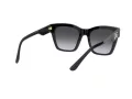 Dolce & Gabbana DG 4384 501/8G 53 Women sunglasses