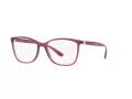 Dolce & Gabbana DG 5026 1754 54 Women glasses