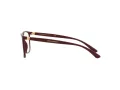 Dolce & Gabbana DG 5026 3247 54 Women glasses