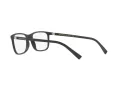 Dolce & Gabbana DG 5027 2525 55 Men glasses