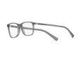 Dolce & Gabbana DG 5027 3160 55 Men glasses