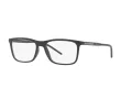 Dolce & Gabbana DG 5044 2525 53 Men glasses