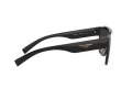 Dolce & Gabbana DG 6125 501/M 135 Men sunglasses