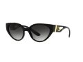 Dolce & Gabbana DG 6146 501/8G 54 Women sunglasses
