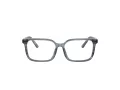 Dolce & Gabbana Kids DX 3003 3482 49 Children glasses