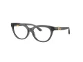 Dolce & Gabbana Kids DX 5005U 3241 48 Children glasses