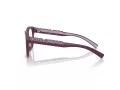 Dolce & Gabbana Kids DX 5007 3360 49 Children glasses