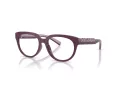 Dolce & Gabbana Kids DX 5007 3360 49 Children glasses