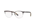 Emporio Armani EA 1059 3179 53 Men glasses