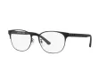 Emporio Armani EA 1139 3001 55 Men glasses