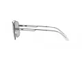 Emporio Armani EA 2139 300387 57 Men sunglasses