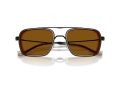 Emporio Armani EA 2162 300163 54 Men sunglasses