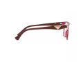 Emporio Armani EA 3172 5021 54 Women glasses