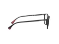 Emporio Armani EA 3177 5042 55 Men glasses